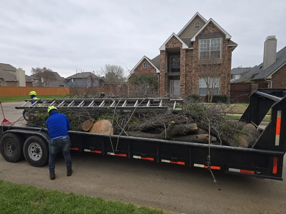 Expert Tree Removal with proper safety equipment in Harrisville